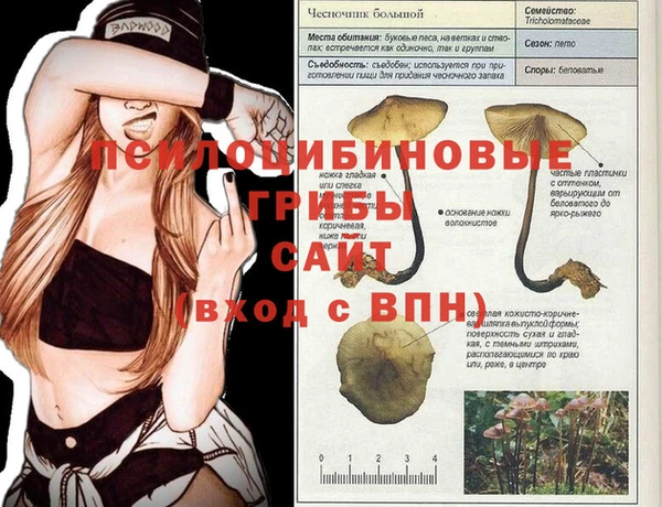 дурь Нефтекумск