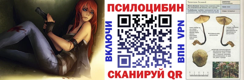 Купить где  Железногорск  Галлюциногенные грибы мицелий 