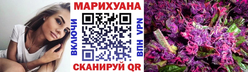 Купить закладки  Железногорск  Каннабис SATIVA & INDICA 